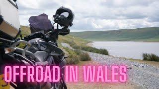 Learning Offroad Skills in Wales with Moto Junkies - Honda CRF300 & Triumph Tiger 800XC