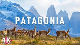 Wonders Of Patagonia  The Most Amazing Places In Patagonia  Travel Video 4K