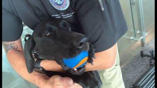 Exclusive tour of the TSA at San Diego International Airport