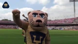 Pumas 1-0 Chivas J1 AP16