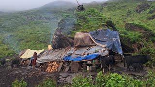 Living Very Happy Life With Mountain Nature || Simple Village Life || IamSuman