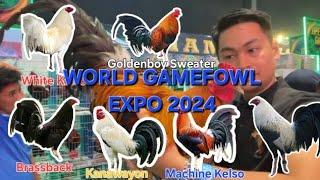 World Gamefowl Expo 2024(oLoyTV) - Bloodline and Price (Part2)