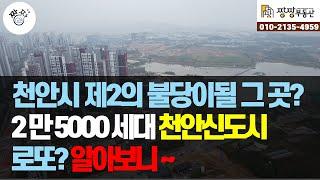 천안시 제2의 불당이 될 그 곳은? 25000세대 천안신도시 2단계 분양이 시작됩니다. 천안시 서북구 성성호수공원의 프리미엄을 갖춘 아파트는 어디일까요?