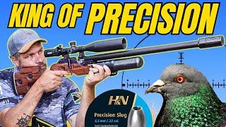 FX King Airgun Takes Down Pests with Precision!