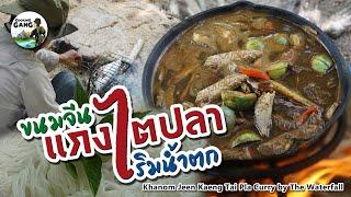 ขนมจีนแกงไตปลา ริมน้ำตก - Khanom Jeen Kaeng Tai Pla Curry by The Waterfall