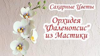 Как Сделать Орхидею из Мастики | Орхидея Фаленопсис из Мастики | Сахарные Цветы | David Malaniia