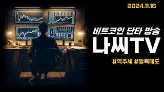 나씨의 투자일기 (11/16) 리플 1620원부터 숏 친 남자..그 결말은..?