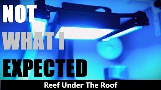 How FAST Reef Tank LED Lights Degrade - 20months OLD XR15G5Blue & 16months OLD ReefBrite VS NEW Ones