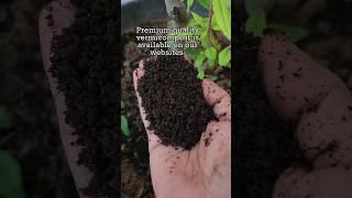 Pure vermicompost available our website #orgenic #fertilizer #vermicompost #plants #nature