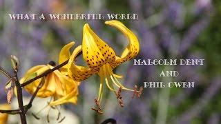 What a Wonderful World - Malcolm Dent