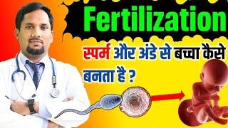 Fertilization kaise hota hai | fertilization to childbirth | Biology topic #conception