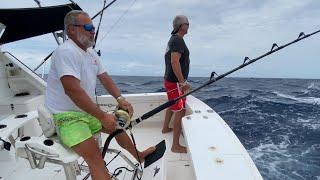 Heavy Tackle Giant Black Marlin fishing Cairns, Great Barrier Reef, Australia 2022