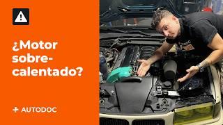 Qué hacer si el motor se sobrecalienta | AUTODOC