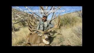 Arizona Strip Bucks LLC. 2009-2011 Success