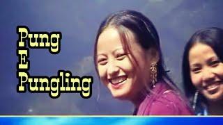 "Pung Eh Pungling"(Nyishi Song )Nyishi video album /Arunachal Pradesh song, North East India song.