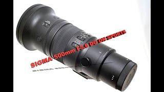 SIGMA 500mm Sports Sony Mount: non solo per sport. Il Test