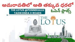 #open plots in amaravathi Rajadani area in ponnekallu #openplots in అమరావతి రాజదాని ఏరియా #tadikonda