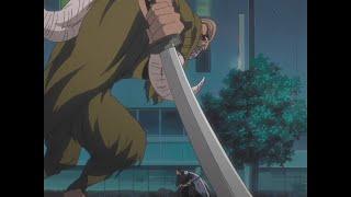 ICHIGO'S FATHER ISSHIN KUROSAKI GETS HIS REVENGE OF HIS DEATH WIFE BY KILLING GRAND FISHER