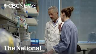 How Canada is trying to tap America’s brain drain