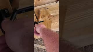 Renovation of the Chicken Coop and coming product review