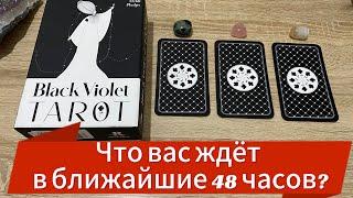  ЧТО ВАС ЖДЕТ В БЛИЖАЙШИЕ 48 ЧАСОВ? ️ гадание на таро Tarot Reading