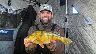 Ice Fishing For GIANT Jumbo Perch!