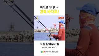 떠나요 코니래비와 경북의 푸른 바다로~ #콘텐츠진흥원 #경북바다