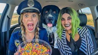 Beetlejuice Surprises Puppy & Police with Car Ride Chase!