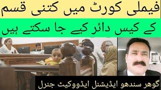 How many type family cases فیملی کیسز can file in family courts in pakistan?