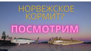 Russian Fishing 4 /Вечерний СТРИМ МОРЕ  Рулетки для зрителей Призы в турнирах