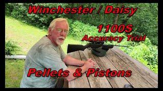 Winchester / Daisy 1100S Air Rifle Accuracy Trial