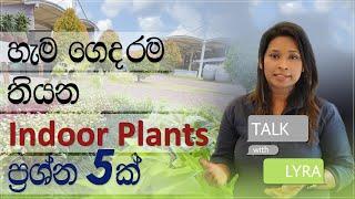 ගේ ඇතුලේ හදන පැල ගැන නොදන්න දේවල් | Indoor Plants Ideas | Talk With Lyra Ep04 | Diyatha Uyana