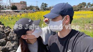 Travel vlog #3_제주_금오름, 우도근고기, 협재신국수, 광해, 유채꽃, 당당