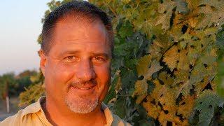 Wine Grower Brad Goehring, CAWG Leader of the Year