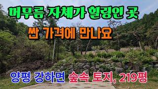 숲속 힐링 주말및 근생주택, 농막용 양평 토지 땅 부동산 매매 매물 급매 급매매 급매물/양평군 강하면