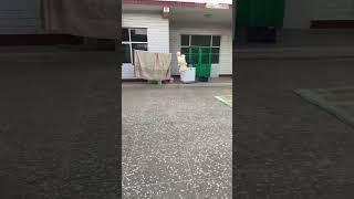 80多岁的奶奶 60多岁的爸爸 姑姑和表弟 农村的家里有人气 #beautiful #开心瞬间 #家庭