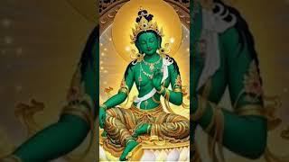 Greentara maa#Om Tare Tuttare Ture soha Mantra# #ommantrachanting