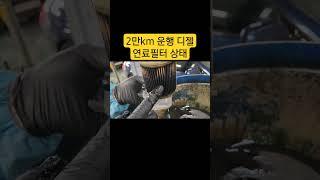 디젤차 연료필터 교환 해야되는이유 #자가정비 #셀프정비