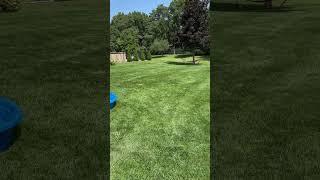 Landscaping  lawn care