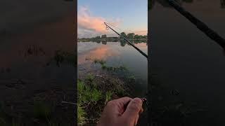 Чуть из рук не вылетел спиннинг!!!  #fishing #рыбалка #рыбалканаспиннинг #рыбалканаречке