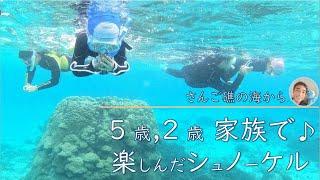 【石垣島で子連れシュノーケリング】5歳、2歳子供も楽しめるシュノーケリング！