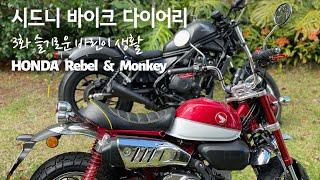 혼다 몽키 필수 커스텀! 바이크초보 Honda Monkey custom parts # 시드니바이크다이어리3화 # 슬기로운바린이생활 # 시드니록다운거리뷰 # 혼다레블500