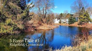 FOX HILL Condo For Sale in Ridgefield, CT: OPEN HOUSE TODAY (2/23) at 3 Forest Lane #3