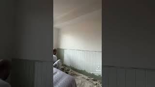 Painting the vj panel walls #painting #painter #housepainting