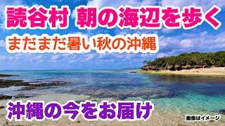 【沖縄の今をお届け】 読谷村 朝の海辺を歩く。まだまだ暑い秋の沖縄「沖縄旅行情報」