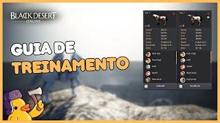 Black Desert Online - Guia de treinamento! Como iniciar no treino desde o zero!