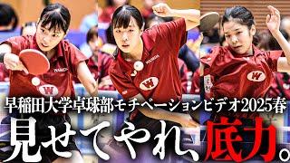 モチベーションビデオ｜ついに春リーグ開幕─早稲田大学卓球部女子はメンバーが一新・チーム一丸で大一番に挑む