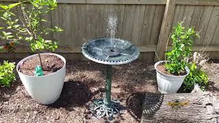 Budget Friendly Bird Bath with Solar Fountain for the Backyard  or Patio anyone can afford