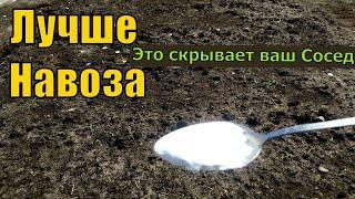 Ложку на Ведро Воды и Земля как Новая, Плодородная, Здоровая, Проливаю Землю для Большого Урожая