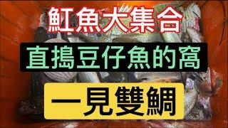 阿忠今天出門收網、沒想到第一網就收到好多甲殼類、真的是舒服、沒想到後來還收穫到兩隻特別來賓、真的是發財了